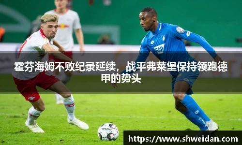 霍芬海姆不败纪录延续，战平弗莱堡保持领跑德甲的势头
