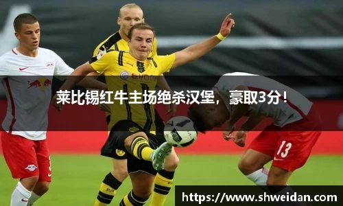 莱比锡红牛主场绝杀汉堡，豪取3分！